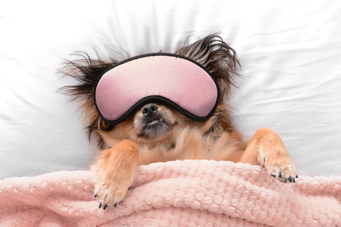 Why Sleep Is The #1 Thing For A Better Body