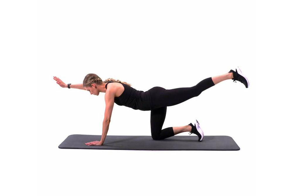 Quadraplex — SHOCK – SHOCK: Women's Fitness